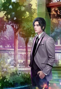豪門無敵女婿