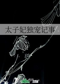 太子妃独宠记事